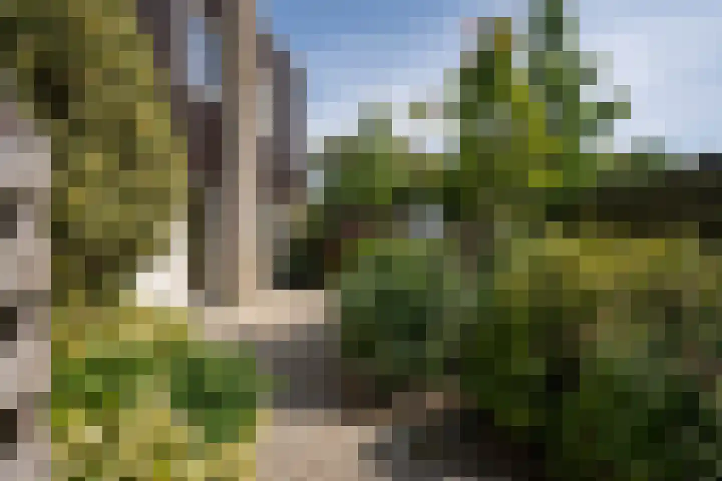 Roggeslootweg 315 De Cocksdorp thumbnail 39