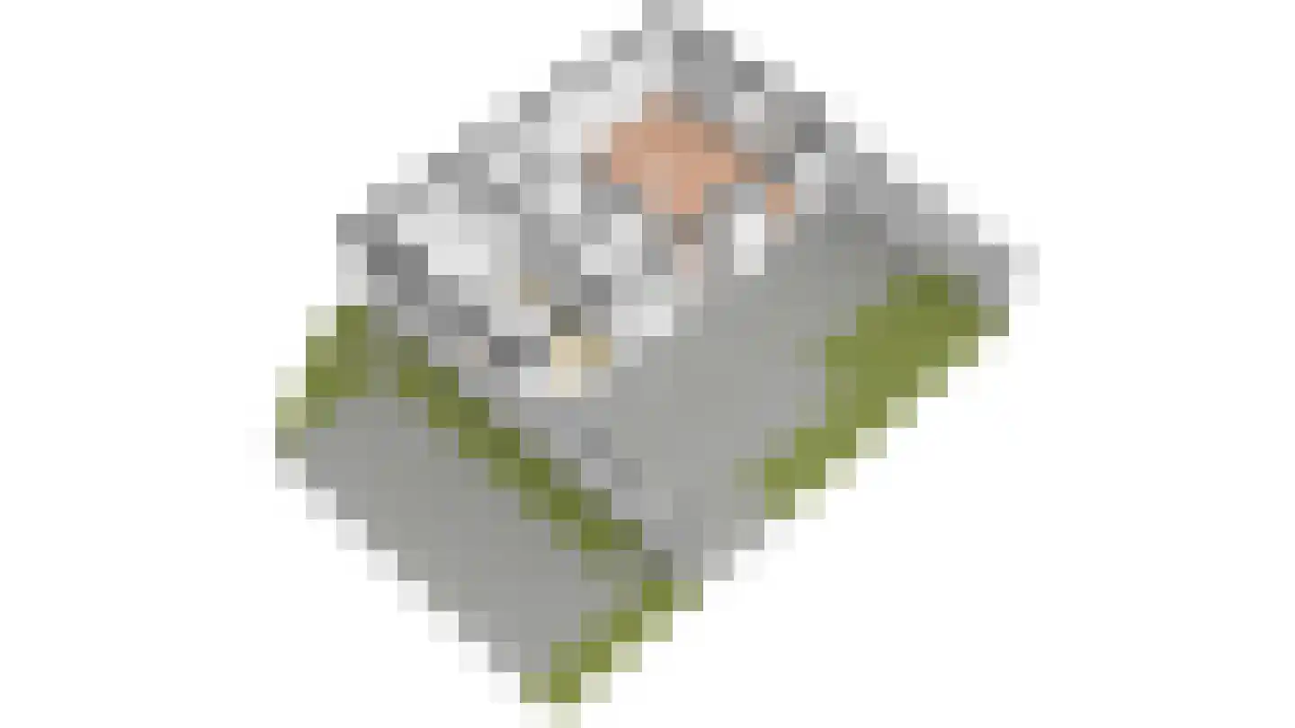 Roggeslootweg 315 De Cocksdorp thumbnail 42