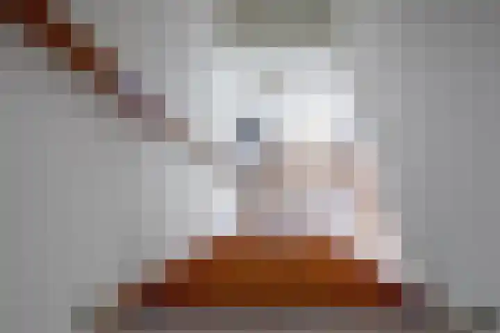 Roggeslootweg 323 De Cocksdorp thumbnail 17