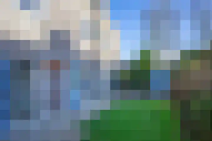 Roggeslootweg 323 De Cocksdorp thumbnail 24