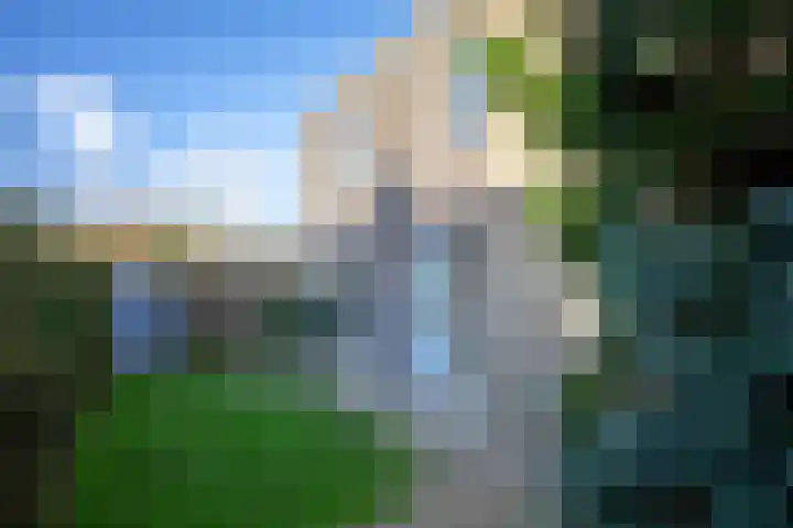 Roggeslootweg 323 De Cocksdorp thumbnail 25