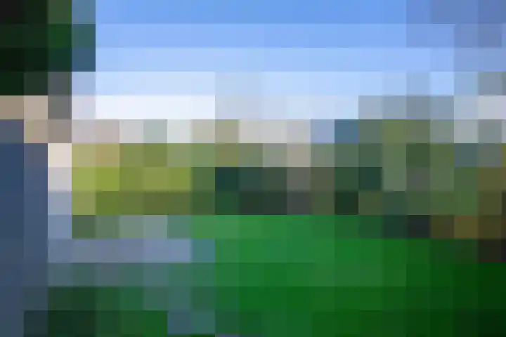 Roggeslootweg 323 De Cocksdorp thumbnail 28