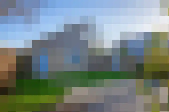 Roggeslootweg 323 De Cocksdorp thumbnail 29