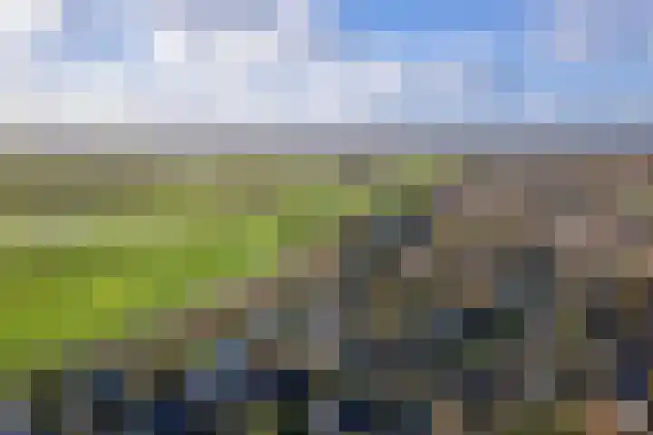Roggeslootweg 323 De Cocksdorp thumbnail 30
