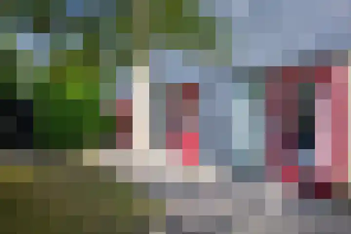 Roggeslootweg 331 De Cocksdorp thumbnail 23
