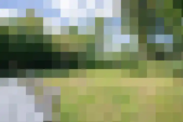 Roggeslootweg 331 De Cocksdorp thumbnail 24