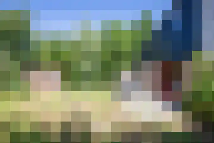 Roggeslootweg 331 De Cocksdorp thumbnail 25
