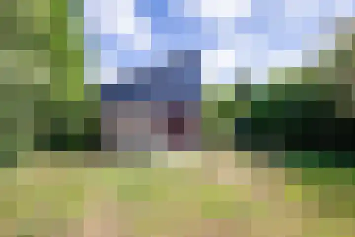 Roggeslootweg 331 De Cocksdorp thumbnail 26