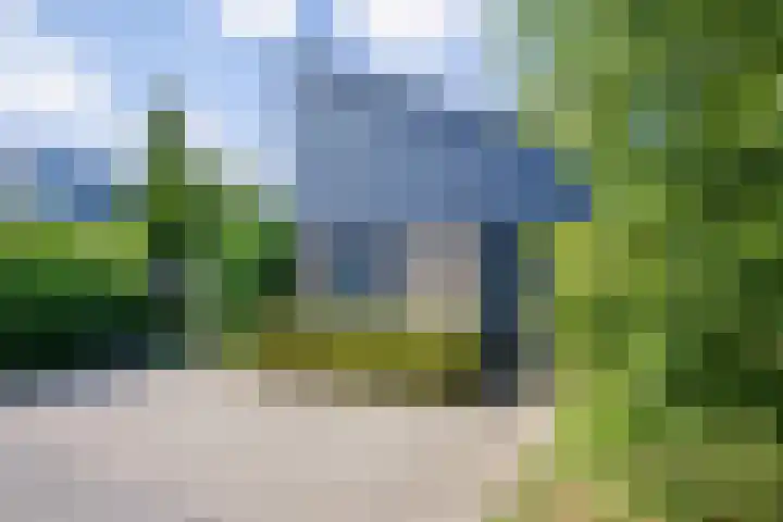 Roggeslootweg 331 De Cocksdorp thumbnail 28