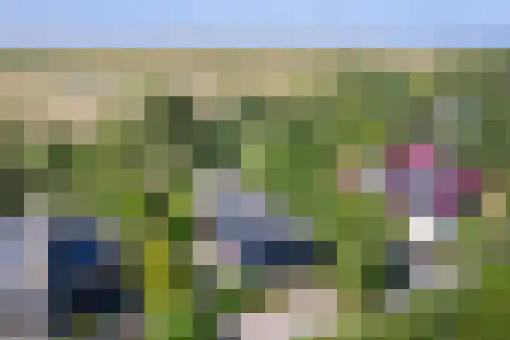 Roggeslootweg 331 De Cocksdorp thumbnail 31