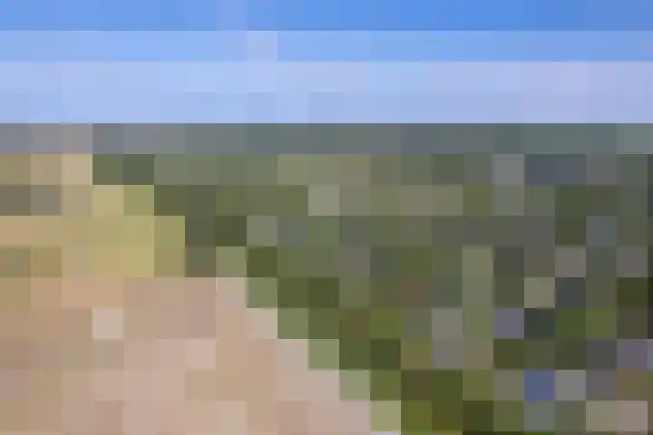 Roggeslootweg 331 De Cocksdorp thumbnail 33