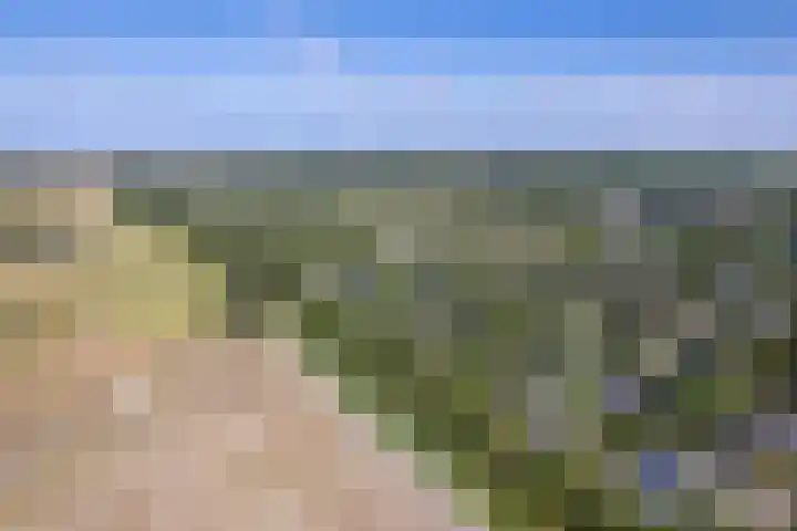 Roggeslootweg 331 De Cocksdorp thumbnail 34