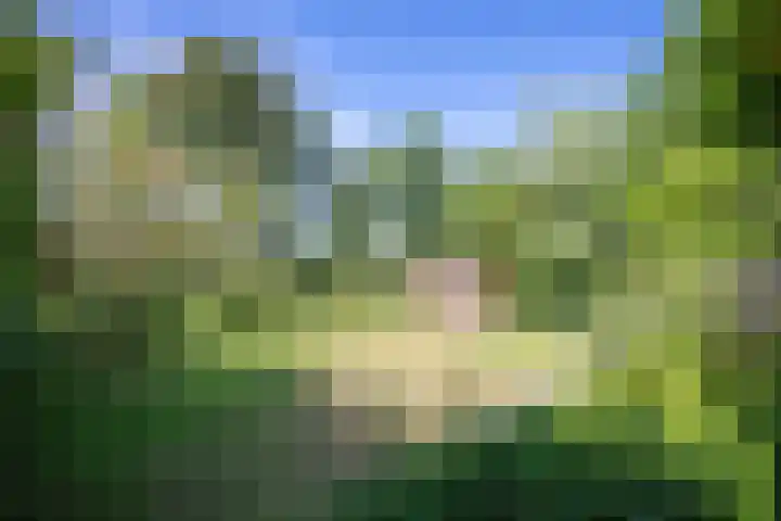 Roggeslootweg 331 De Cocksdorp thumbnail 4