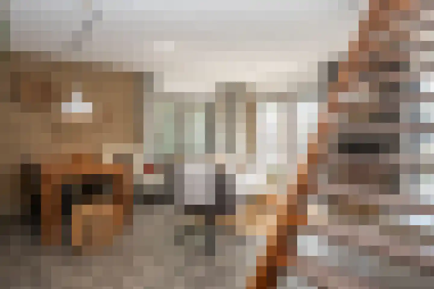 Roggeslootweg 337 De Cocksdorp thumbnail 13