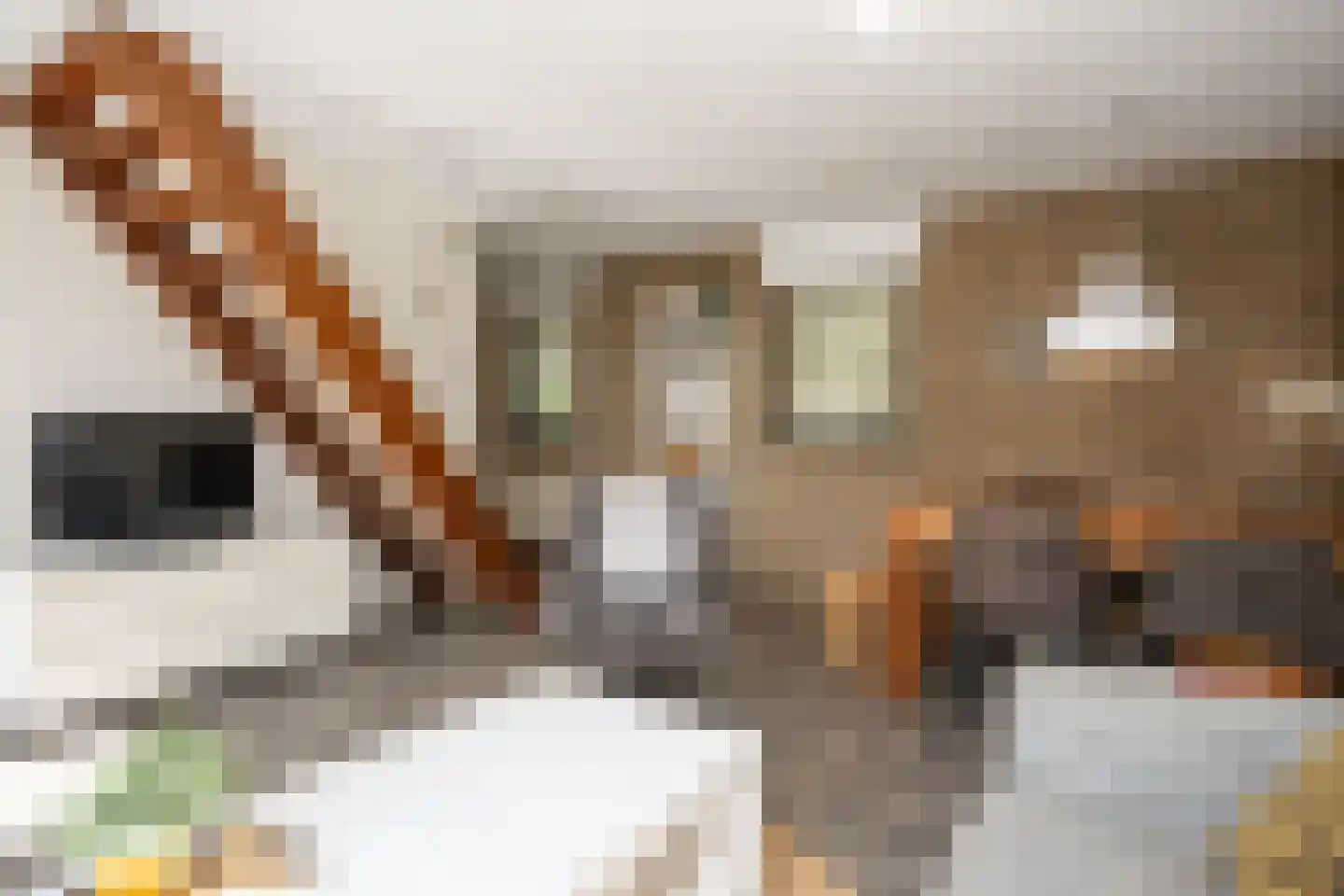 Roggeslootweg 337 De Cocksdorp thumbnail 16