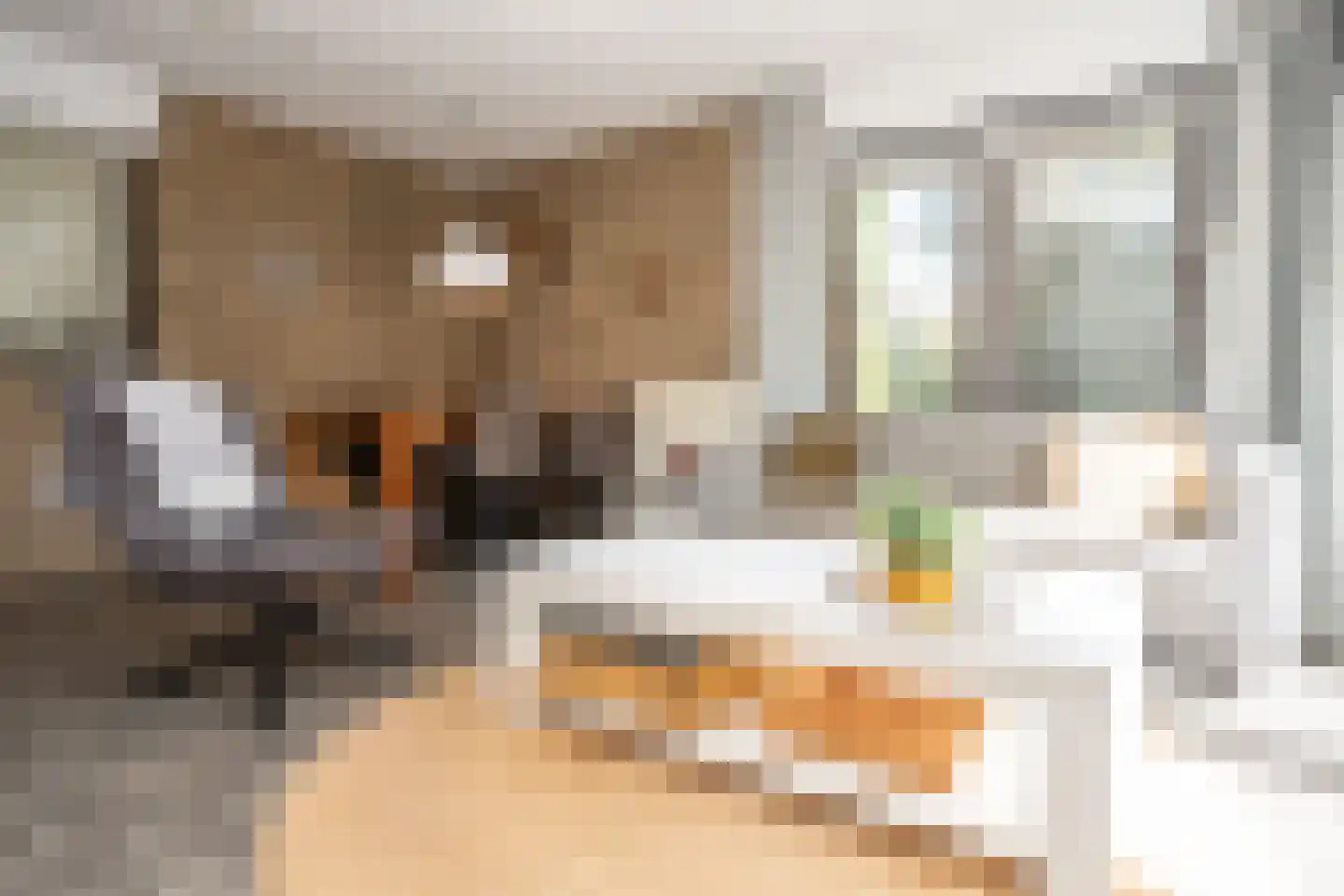 Roggeslootweg 337 De Cocksdorp thumbnail 17