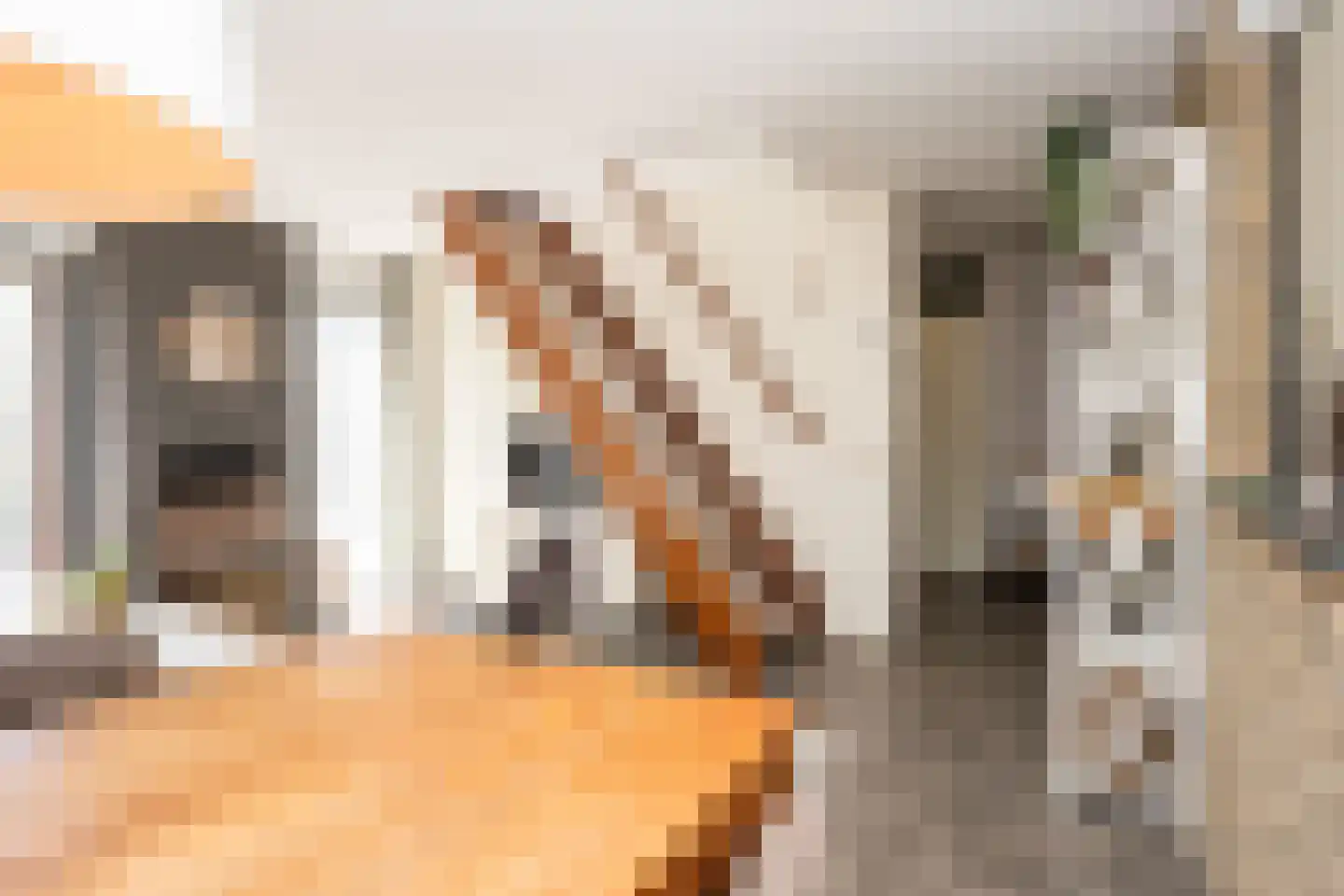 Roggeslootweg 337 De Cocksdorp thumbnail 18