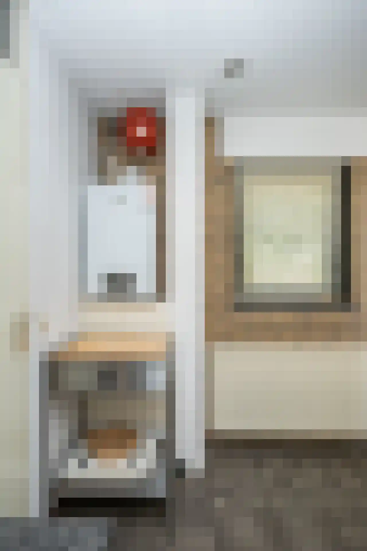 Roggeslootweg 337 De Cocksdorp thumbnail 21