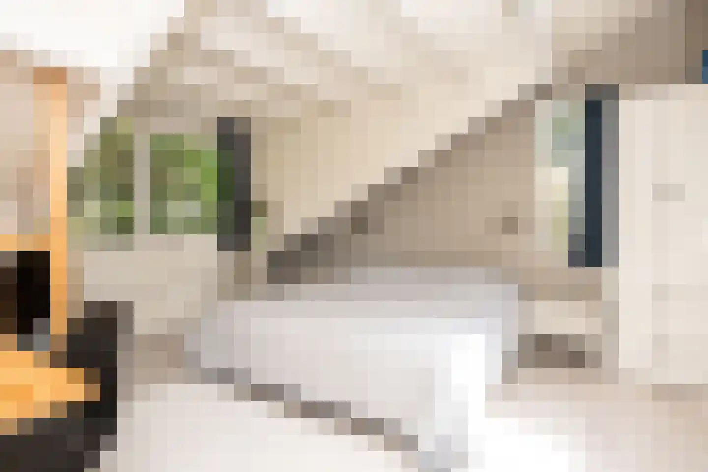 Roggeslootweg 337 De Cocksdorp thumbnail 34