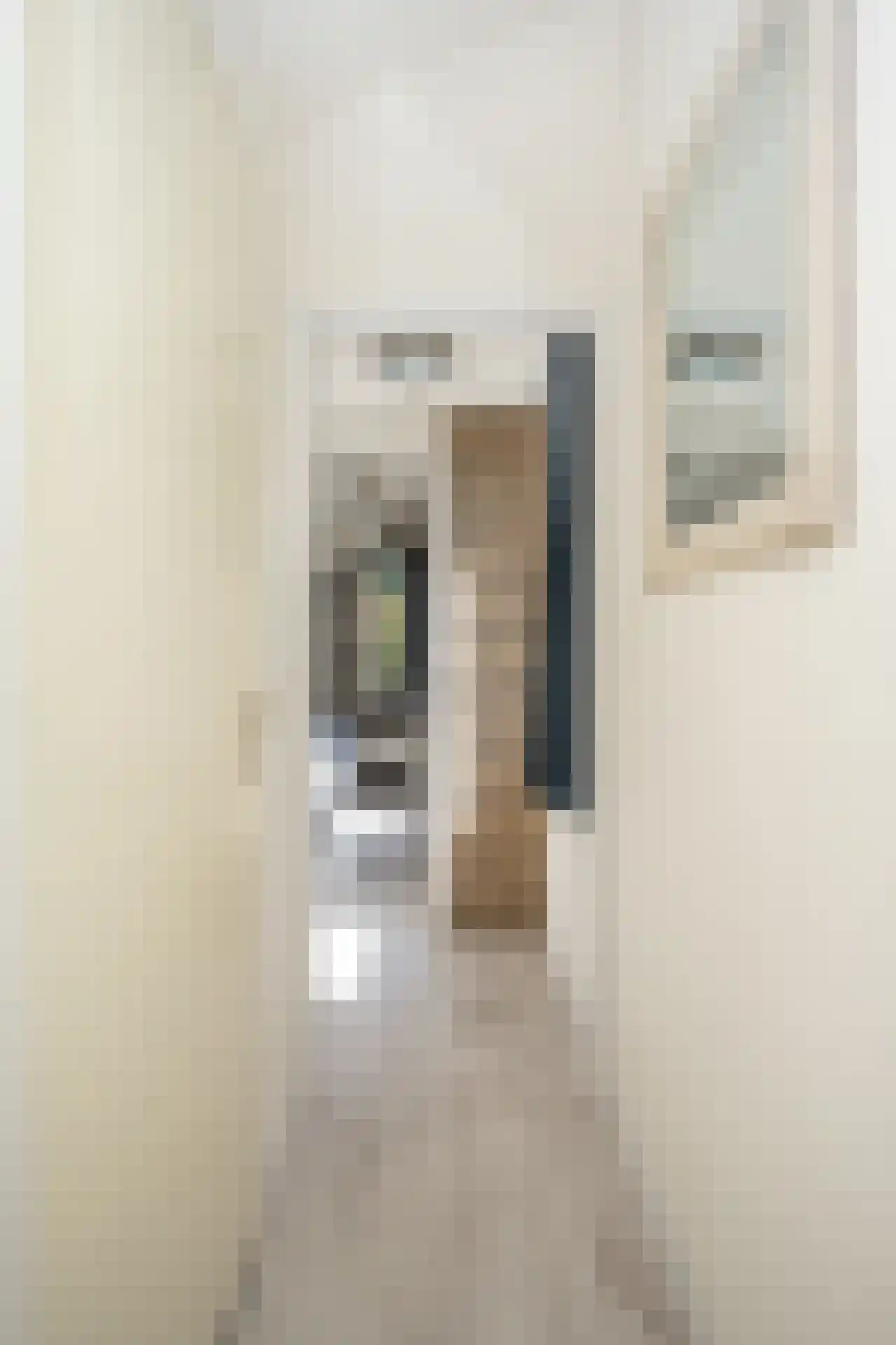 Roggeslootweg 337 De Cocksdorp thumbnail 37