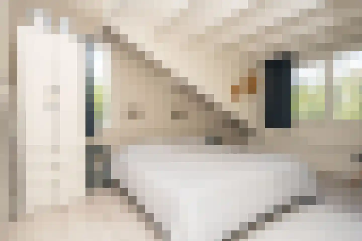 Roggeslootweg 337 De Cocksdorp thumbnail 38
