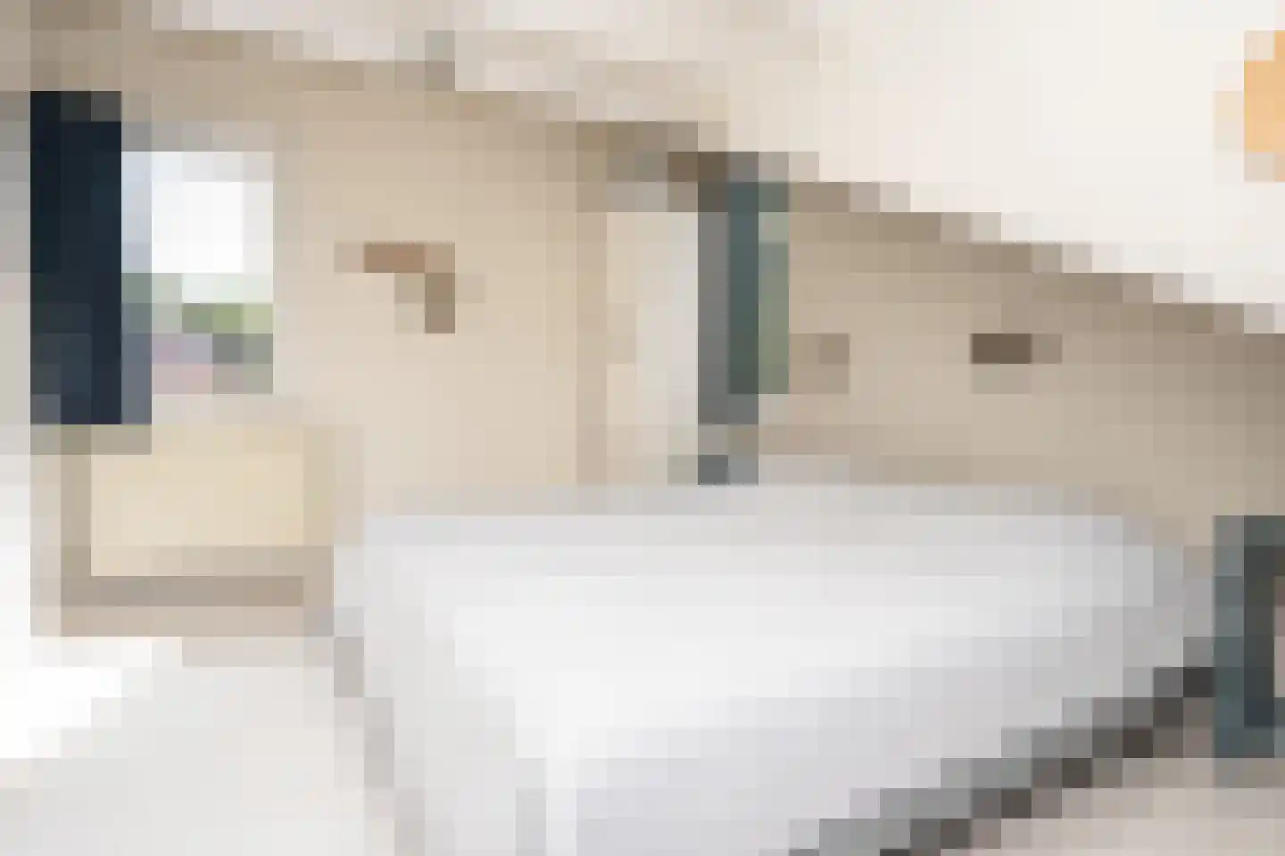 Roggeslootweg 337 De Cocksdorp thumbnail 39