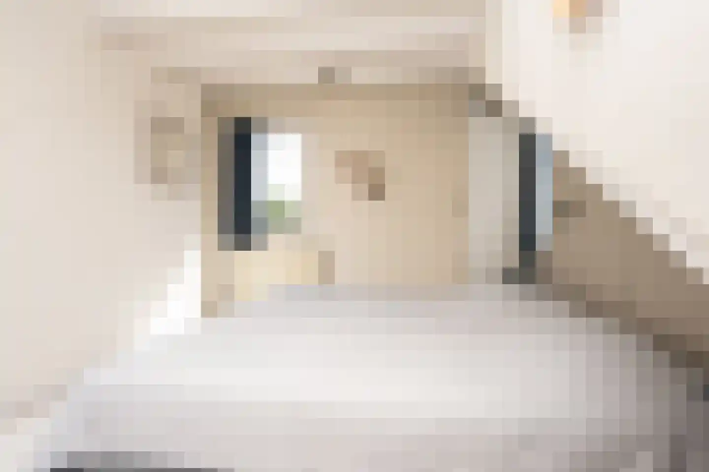 Roggeslootweg 337 De Cocksdorp thumbnail 40