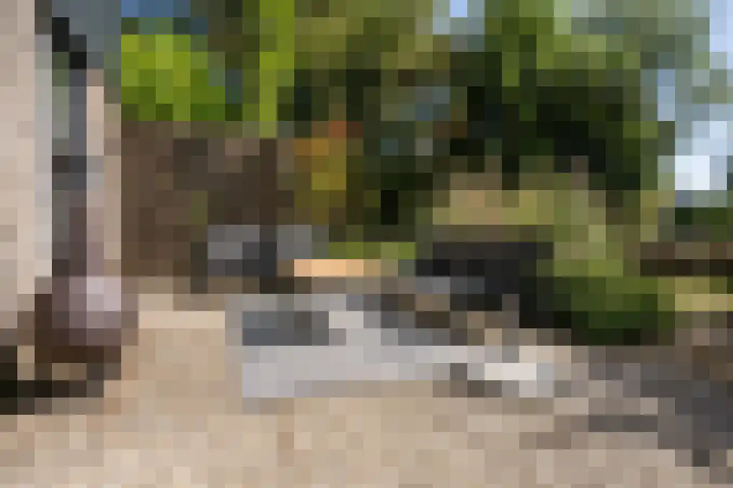 Roggeslootweg 337 De Cocksdorp thumbnail 48