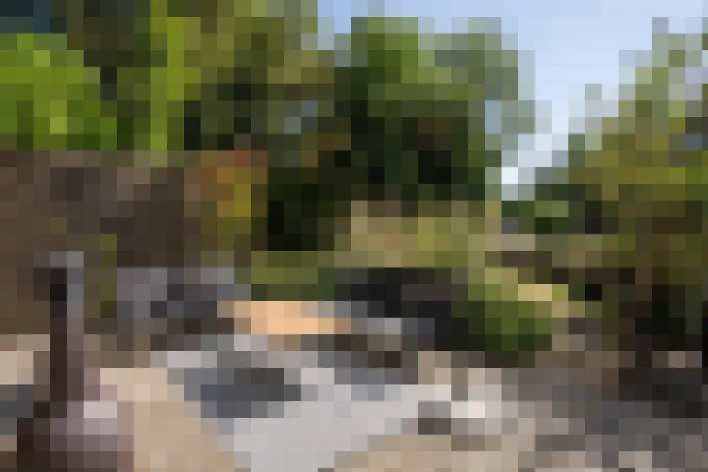 Roggeslootweg 337 De Cocksdorp thumbnail 49