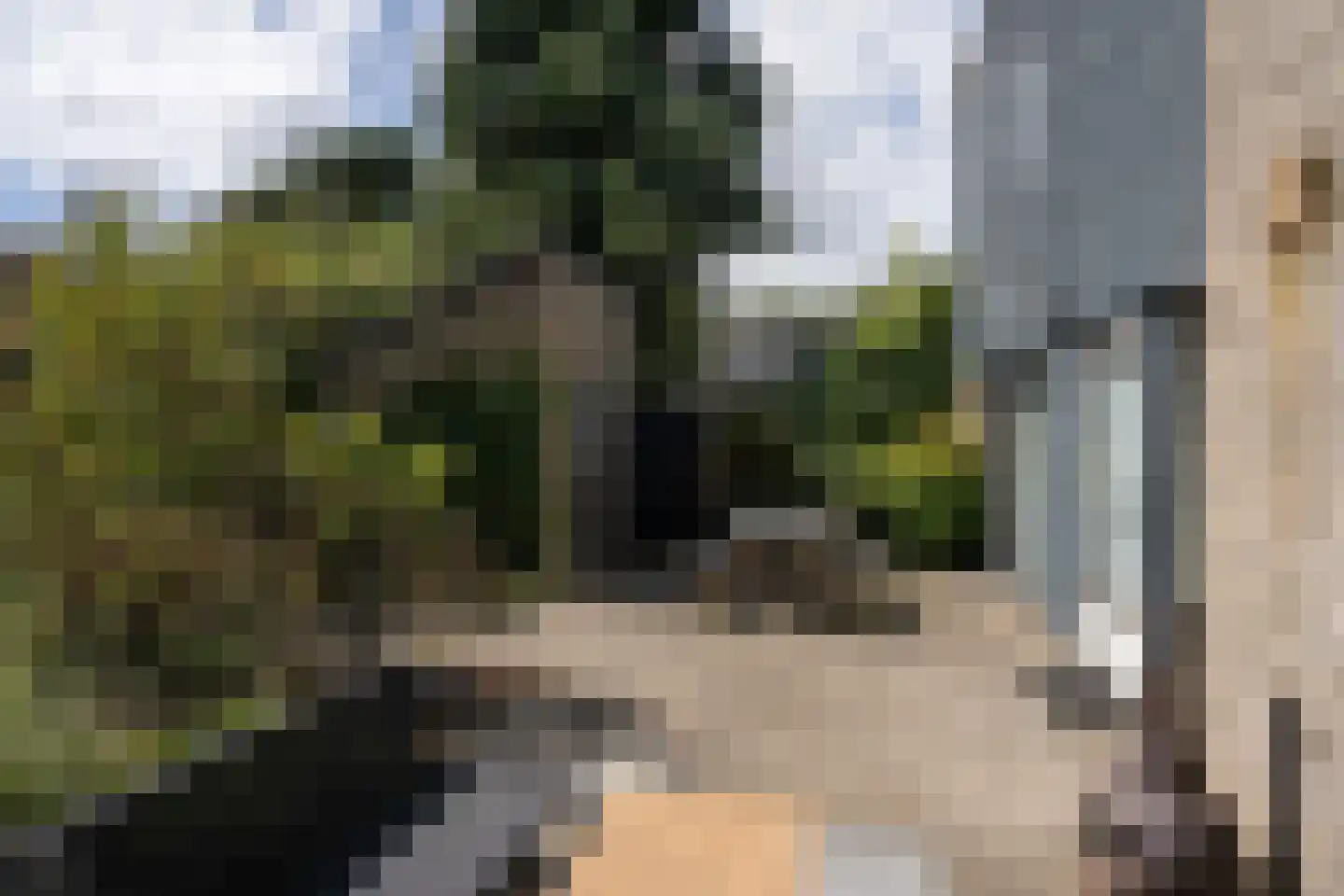 Roggeslootweg 337 De Cocksdorp thumbnail 50