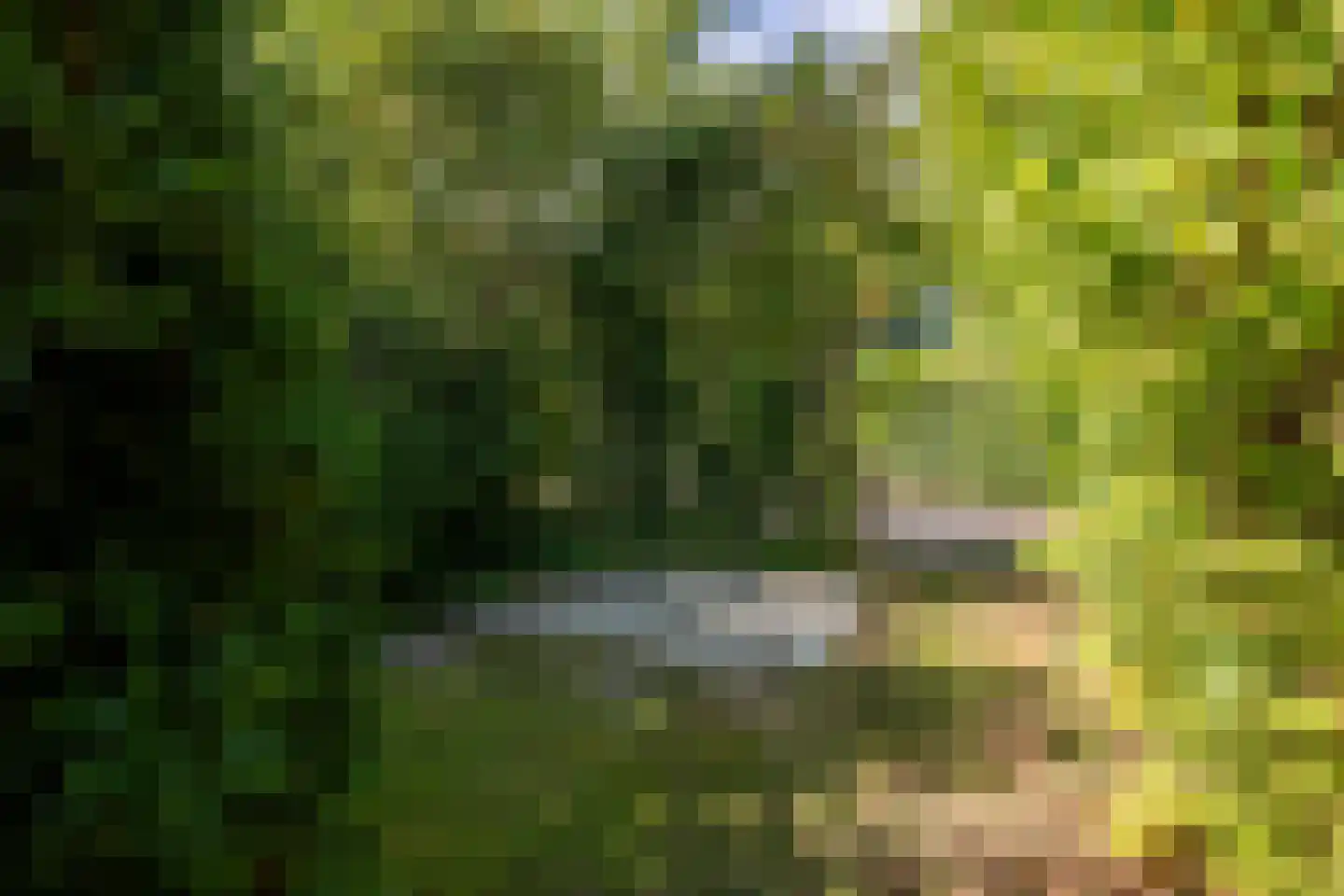 Roggeslootweg 337 De Cocksdorp thumbnail 56