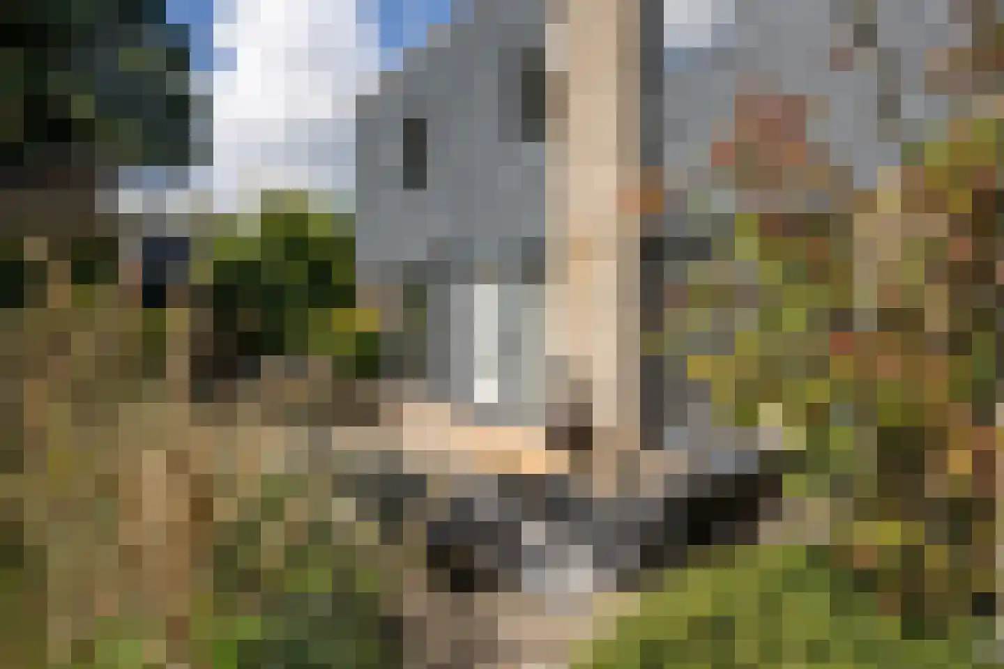 Roggeslootweg 337 De Cocksdorp thumbnail 6