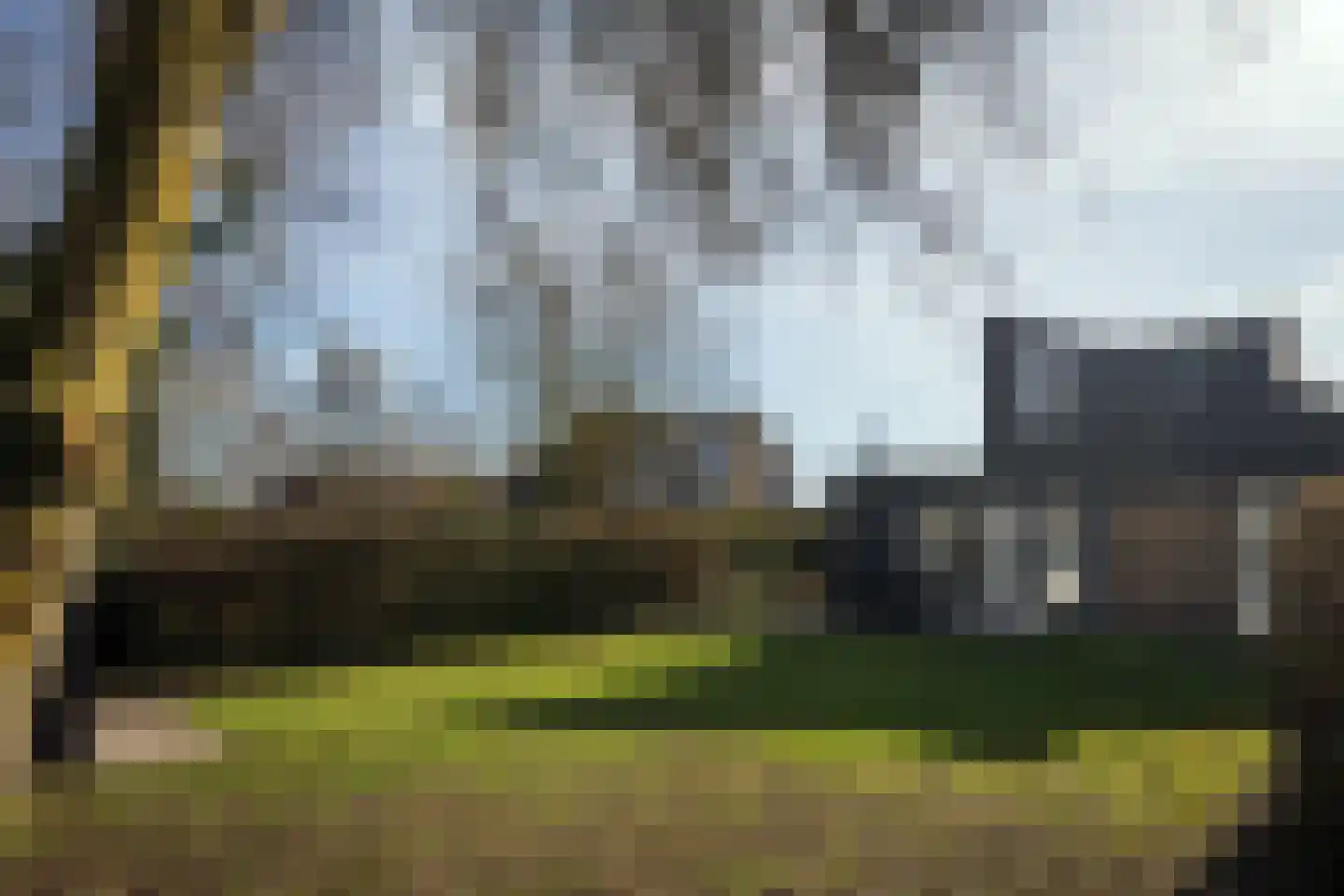 Roggeslootweg 351 De Cocksdorp thumbnail 10