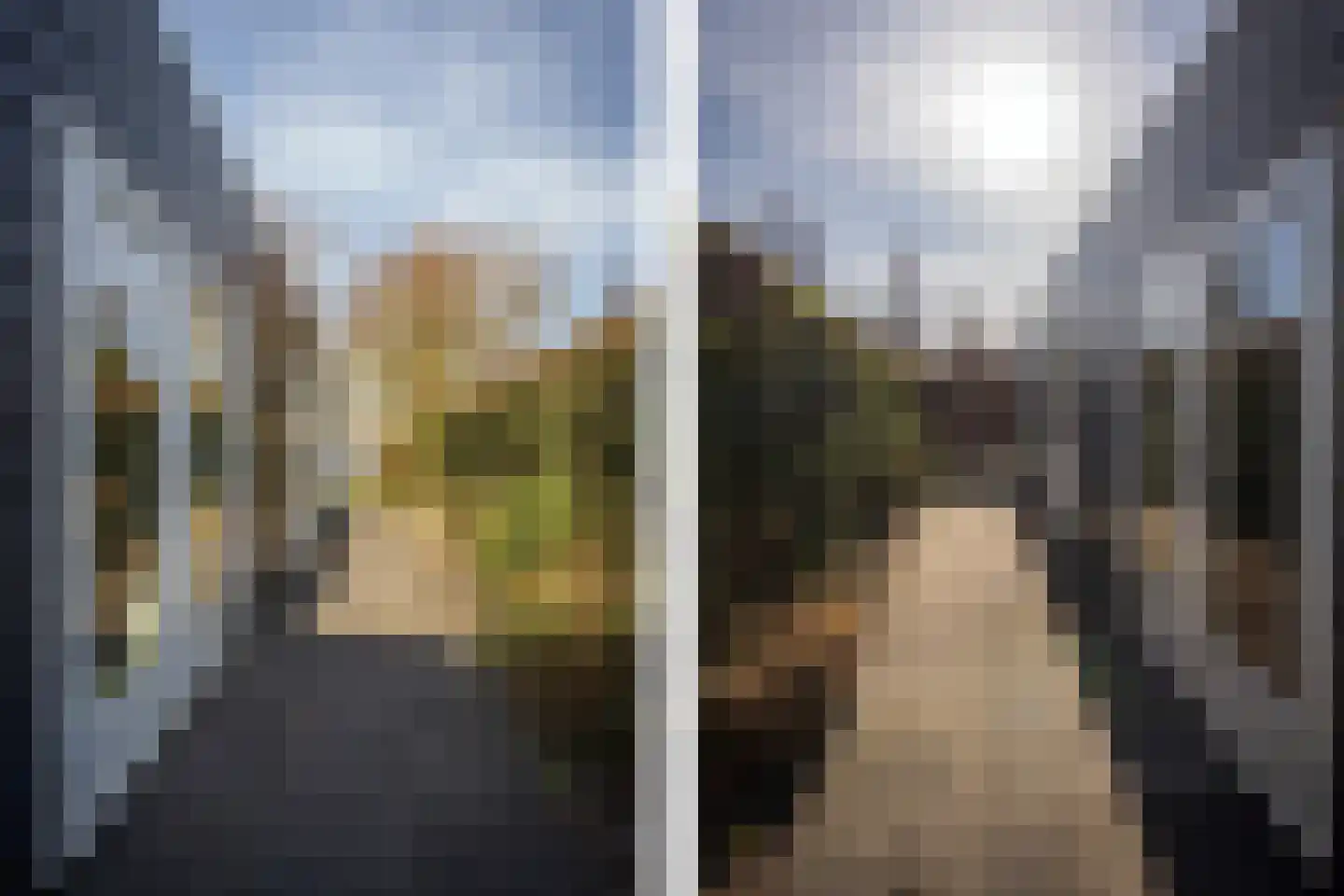 Roggeslootweg 351 De Cocksdorp thumbnail 11