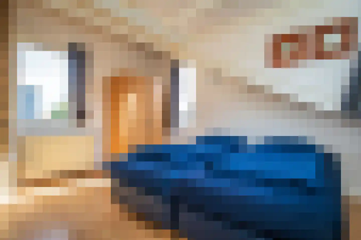Roggeslootweg 351 De Cocksdorp thumbnail 23