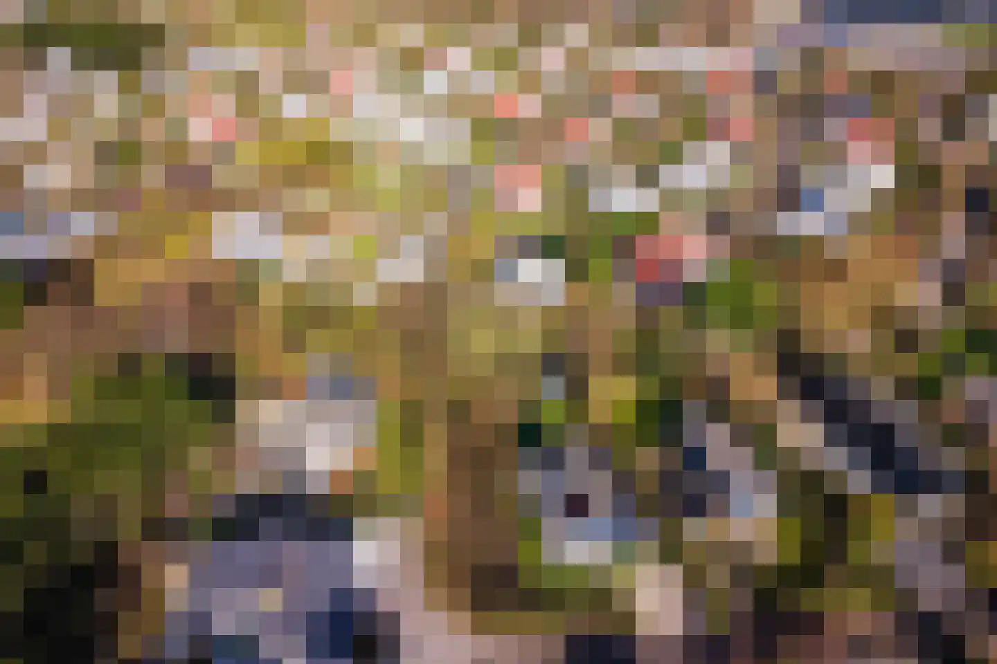 Roggeslootweg 351 De Cocksdorp thumbnail 39