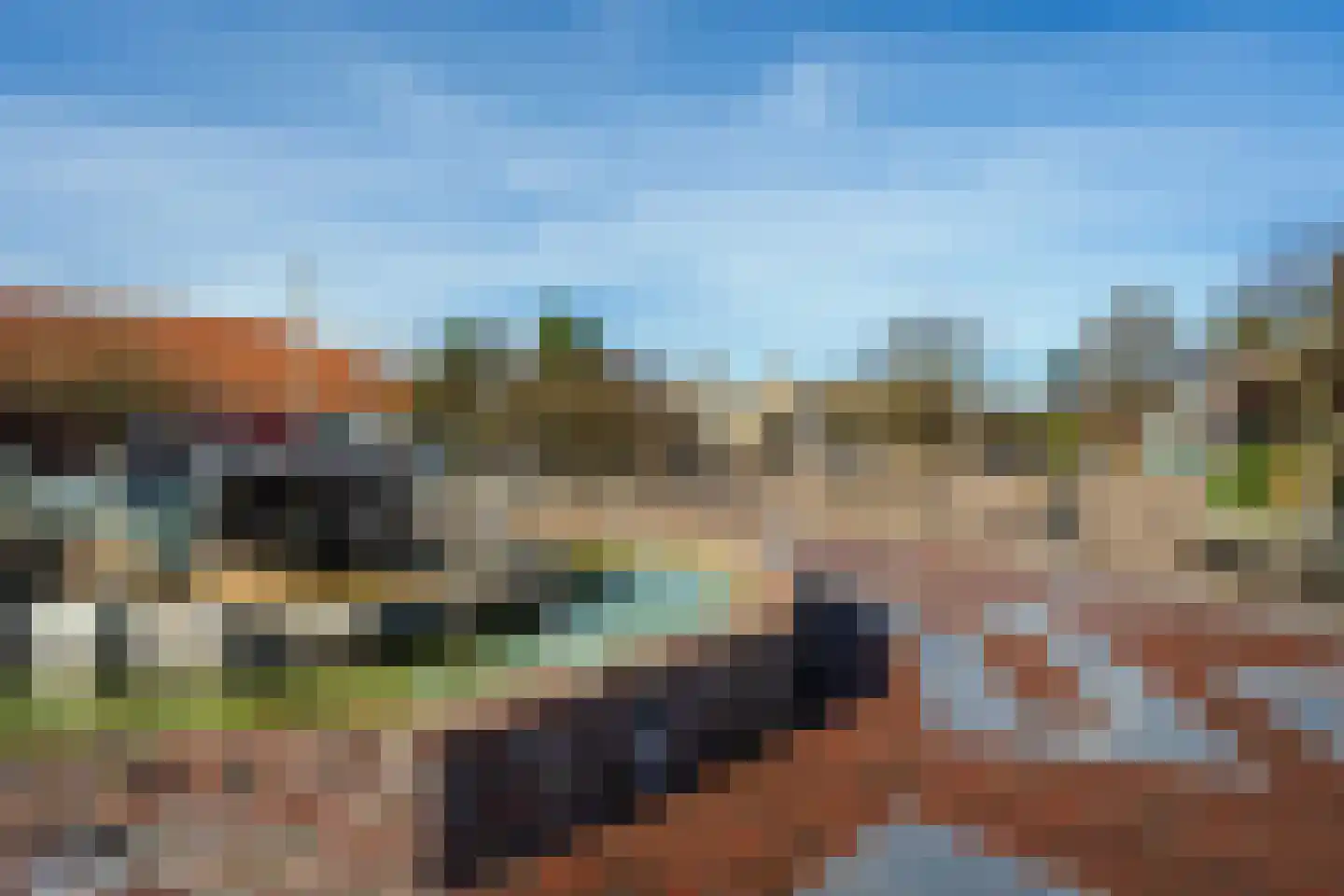 Roggeslootweg 351 De Cocksdorp thumbnail 43