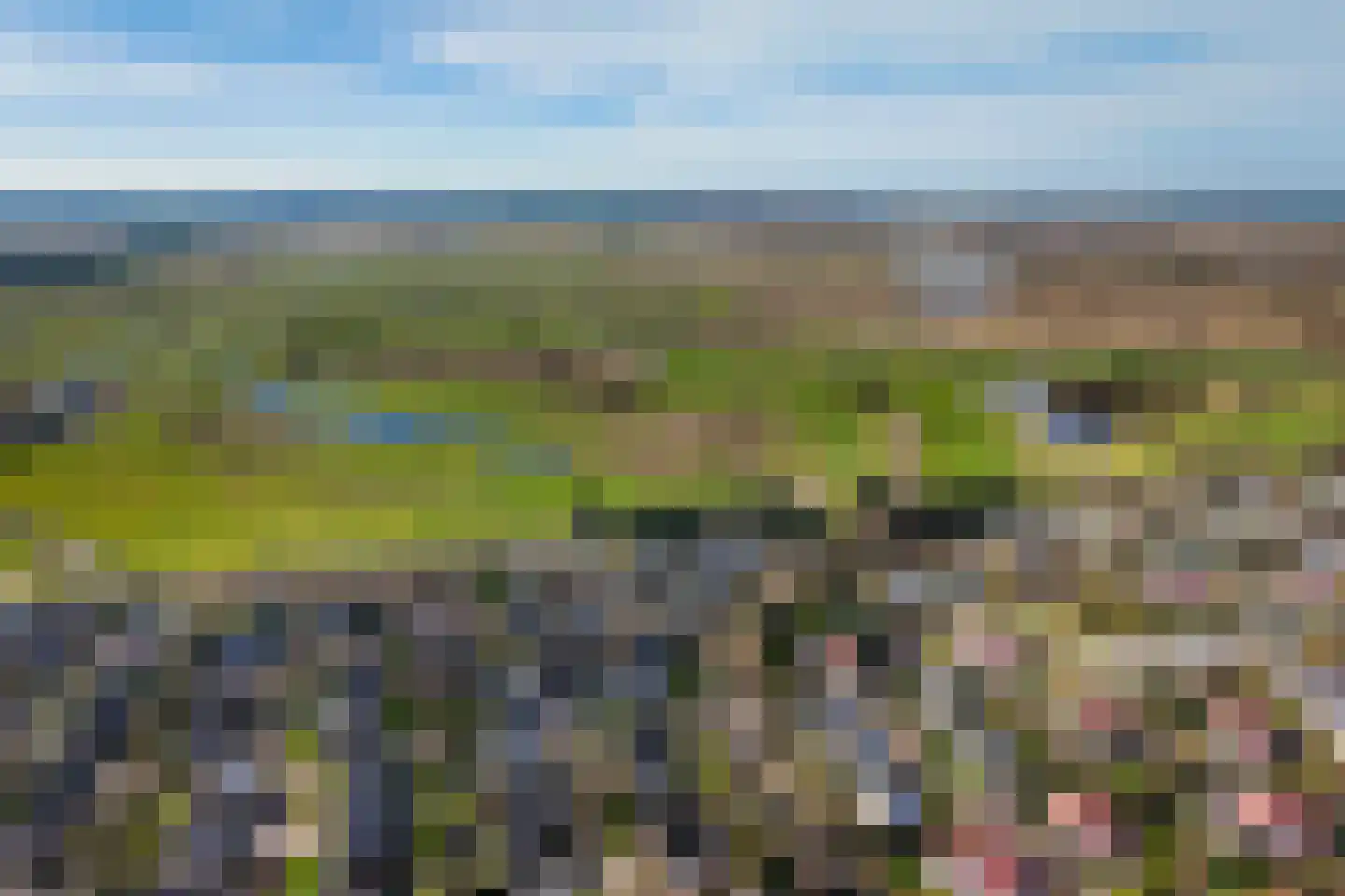 Roggeslootweg 351 De Cocksdorp thumbnail 5