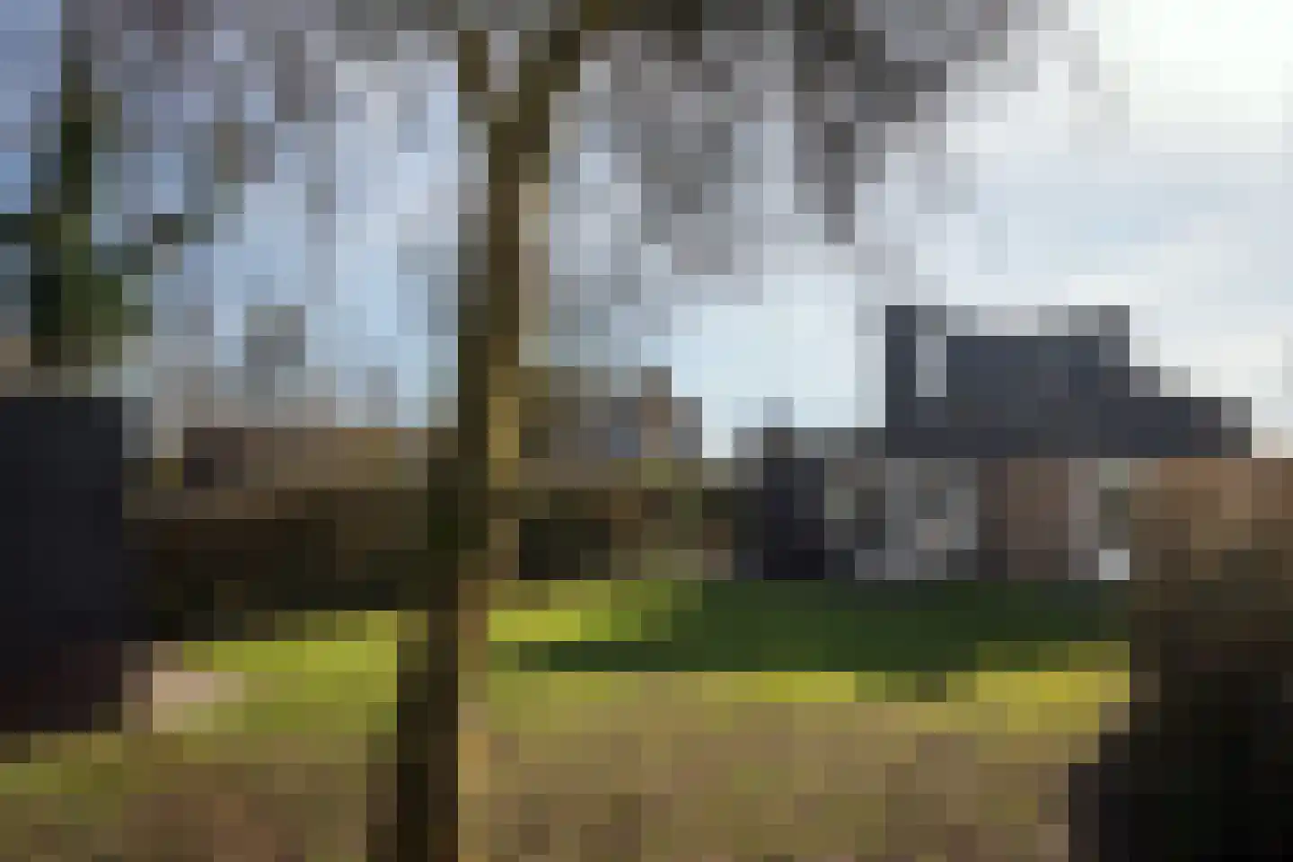 Roggeslootweg 351 De Cocksdorp thumbnail 7
