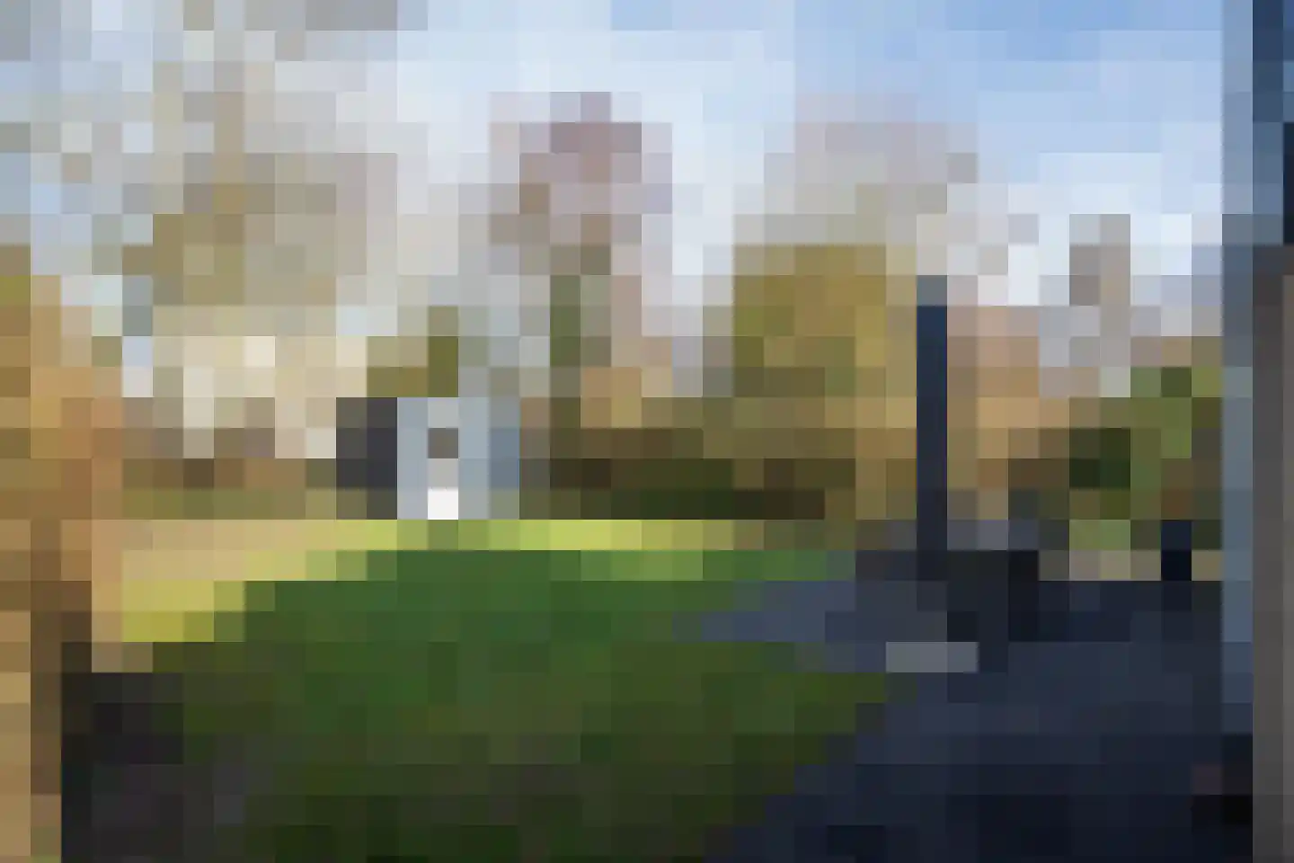 Roggeslootweg 351 De Cocksdorp thumbnail 8