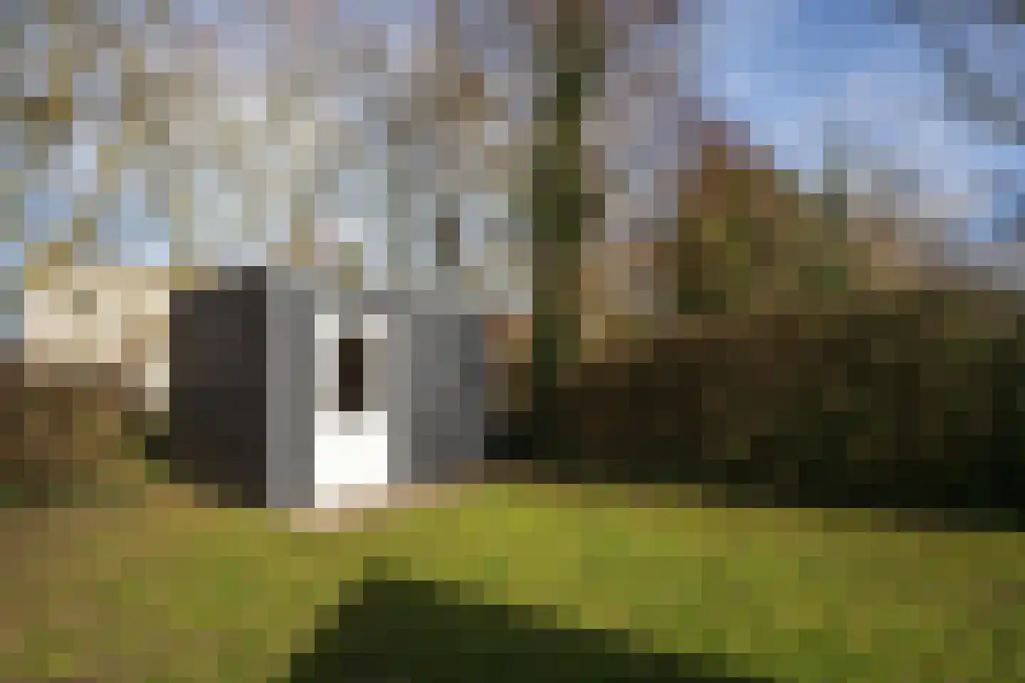 Roggeslootweg 351 De Cocksdorp thumbnail 9
