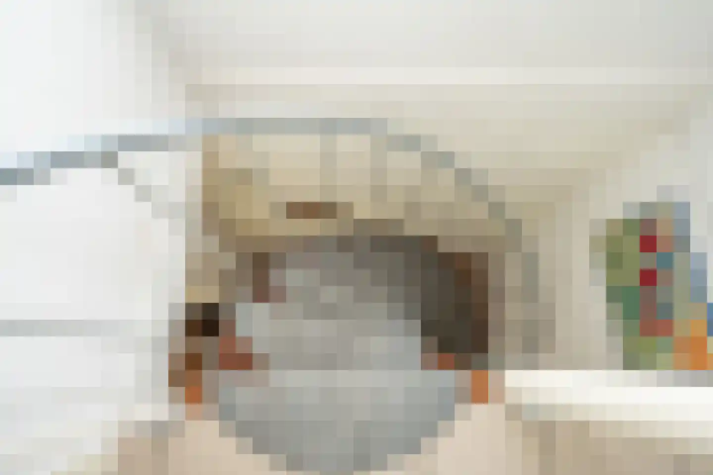 Roggeslootweg 393 De Cocksdorp thumbnail 27