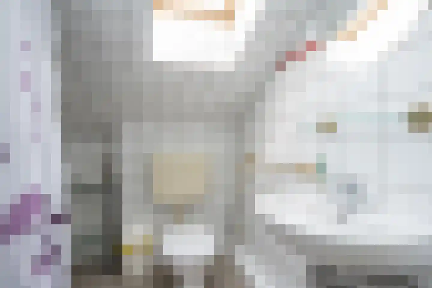 Roggeslootweg 393 De Cocksdorp thumbnail 32