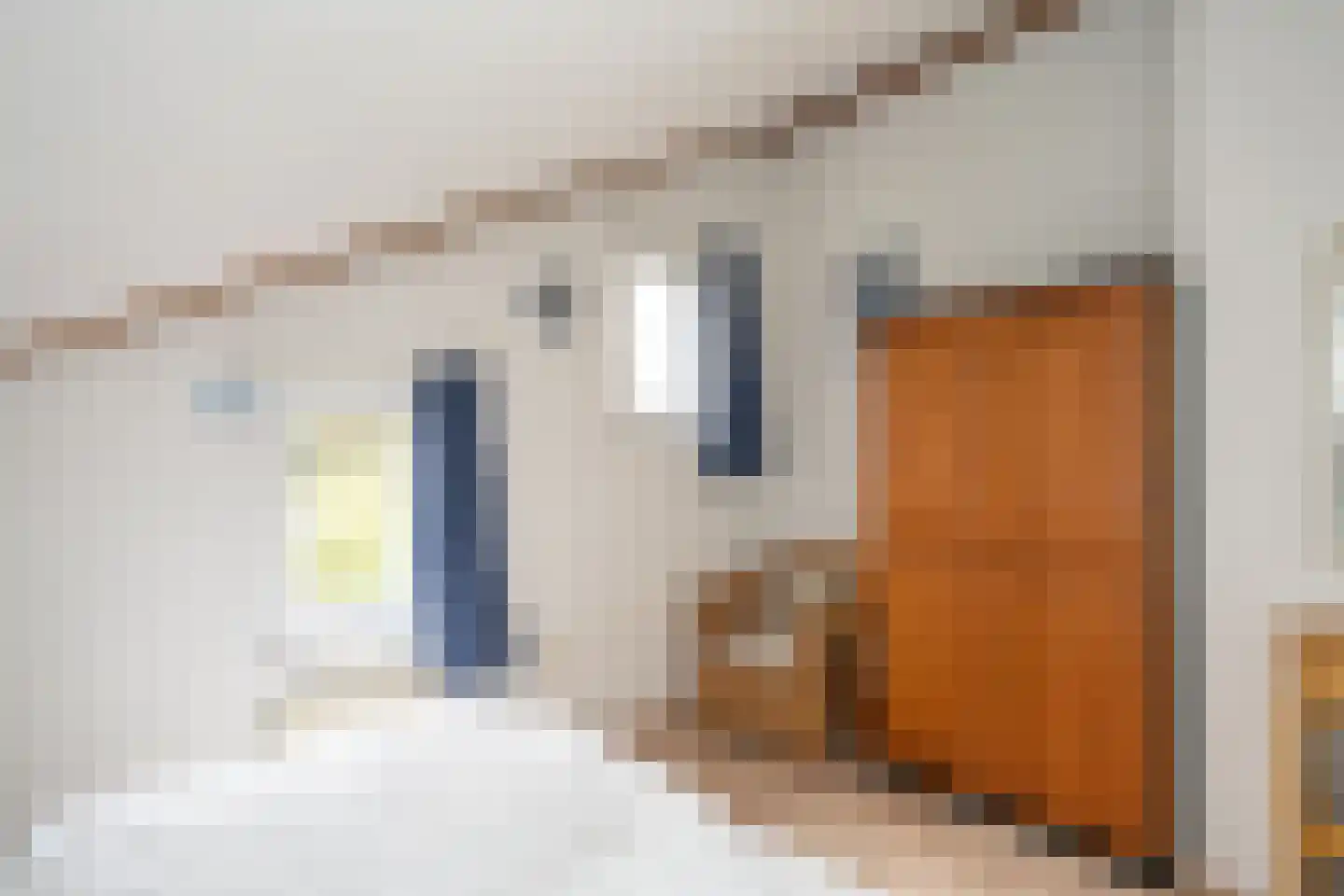 Roggeslootweg 393 De Cocksdorp thumbnail 38