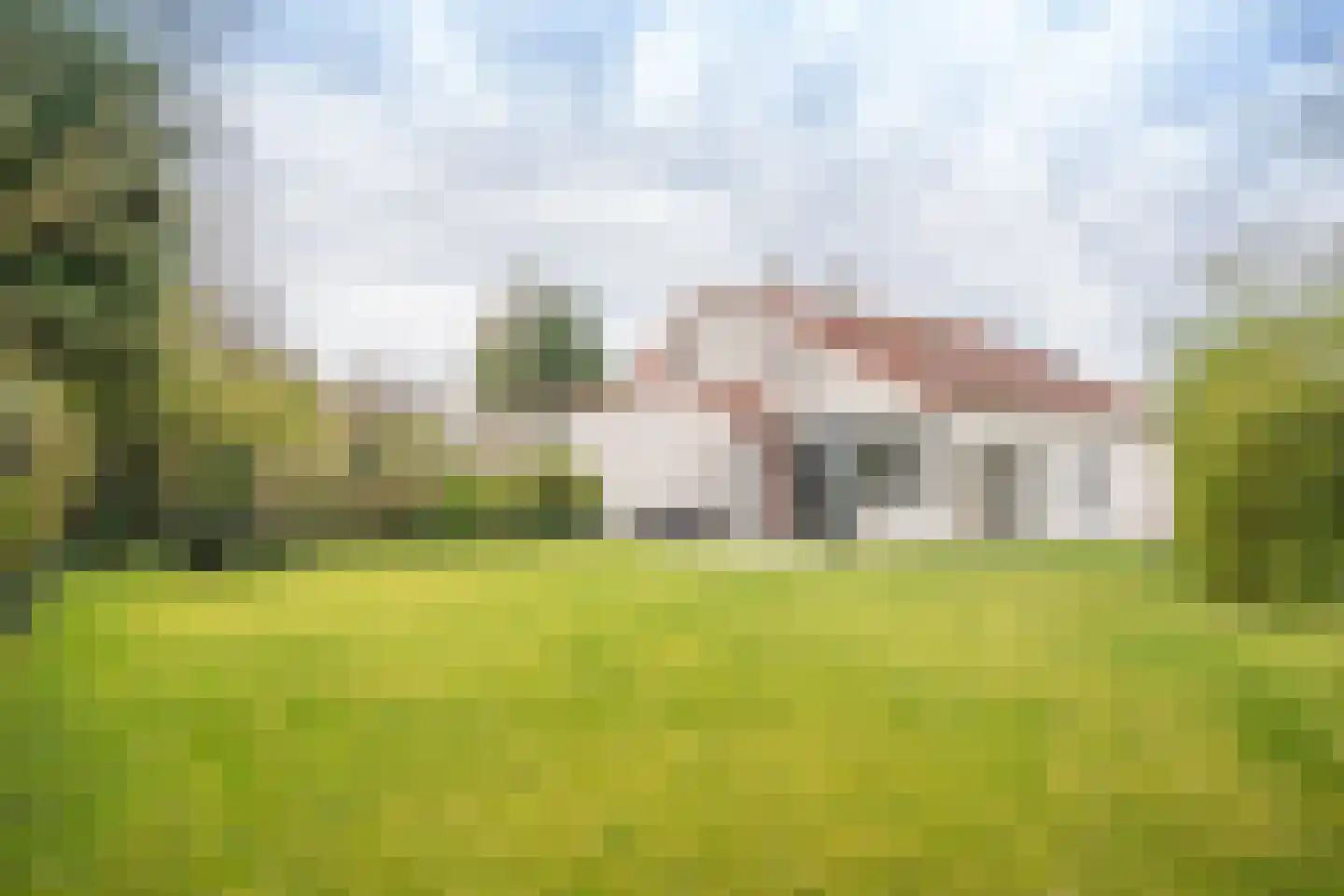 Roggeslootweg 393 De Cocksdorp thumbnail 39