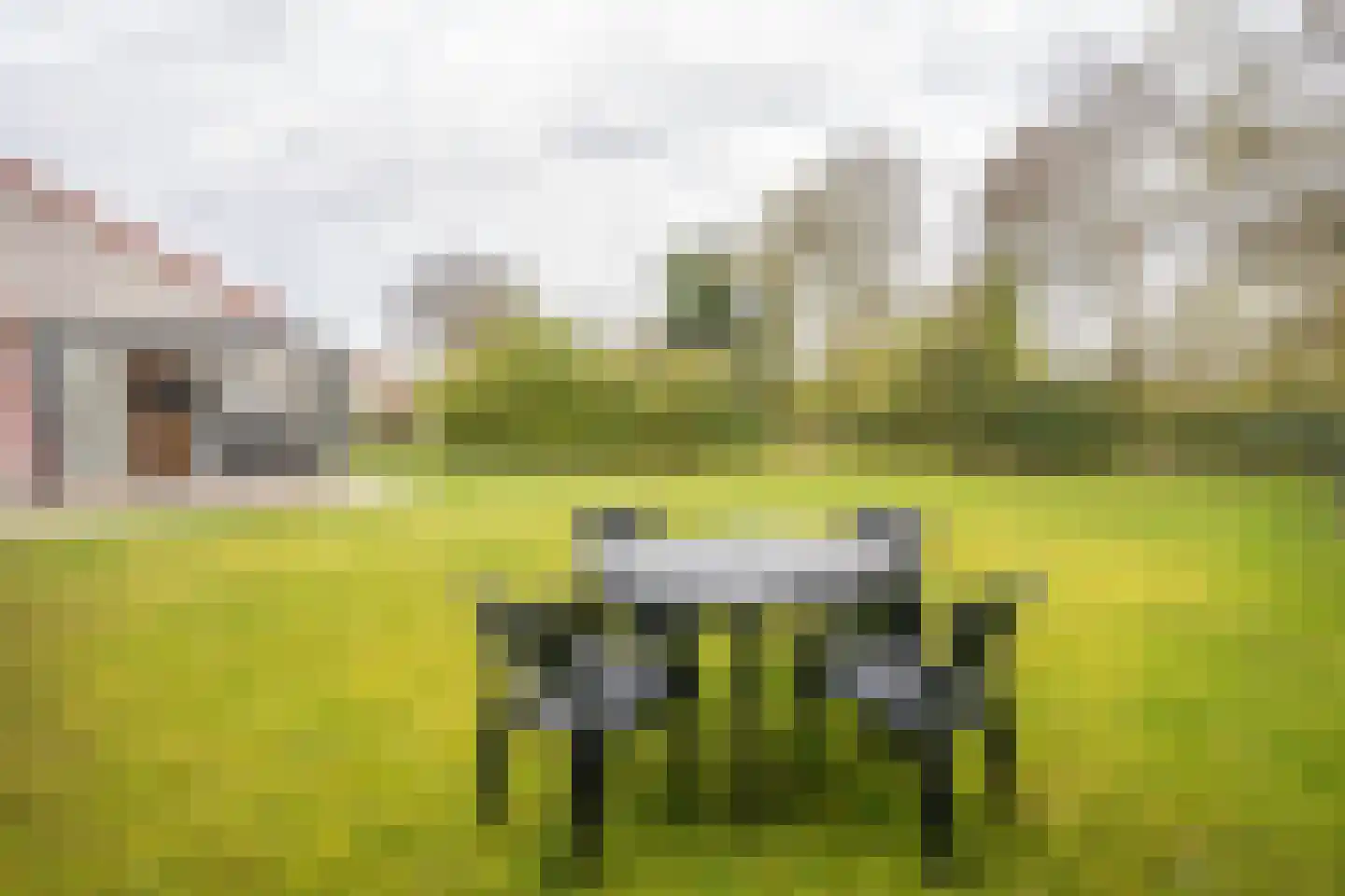 Roggeslootweg 393 De Cocksdorp thumbnail 42