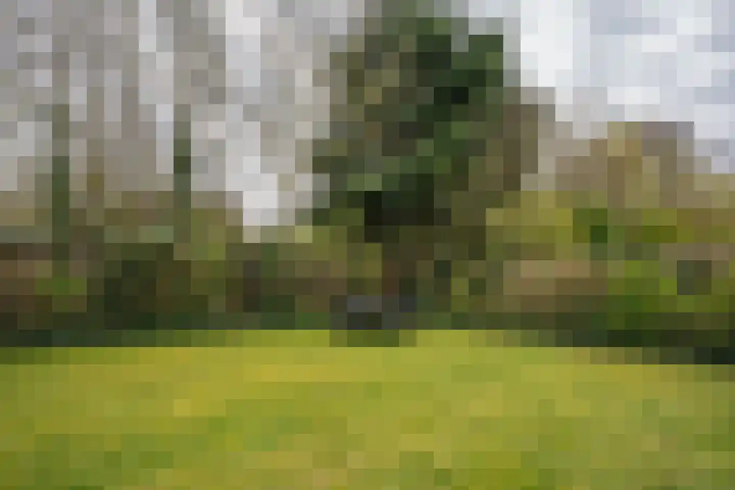 Roggeslootweg 393 De Cocksdorp thumbnail 50