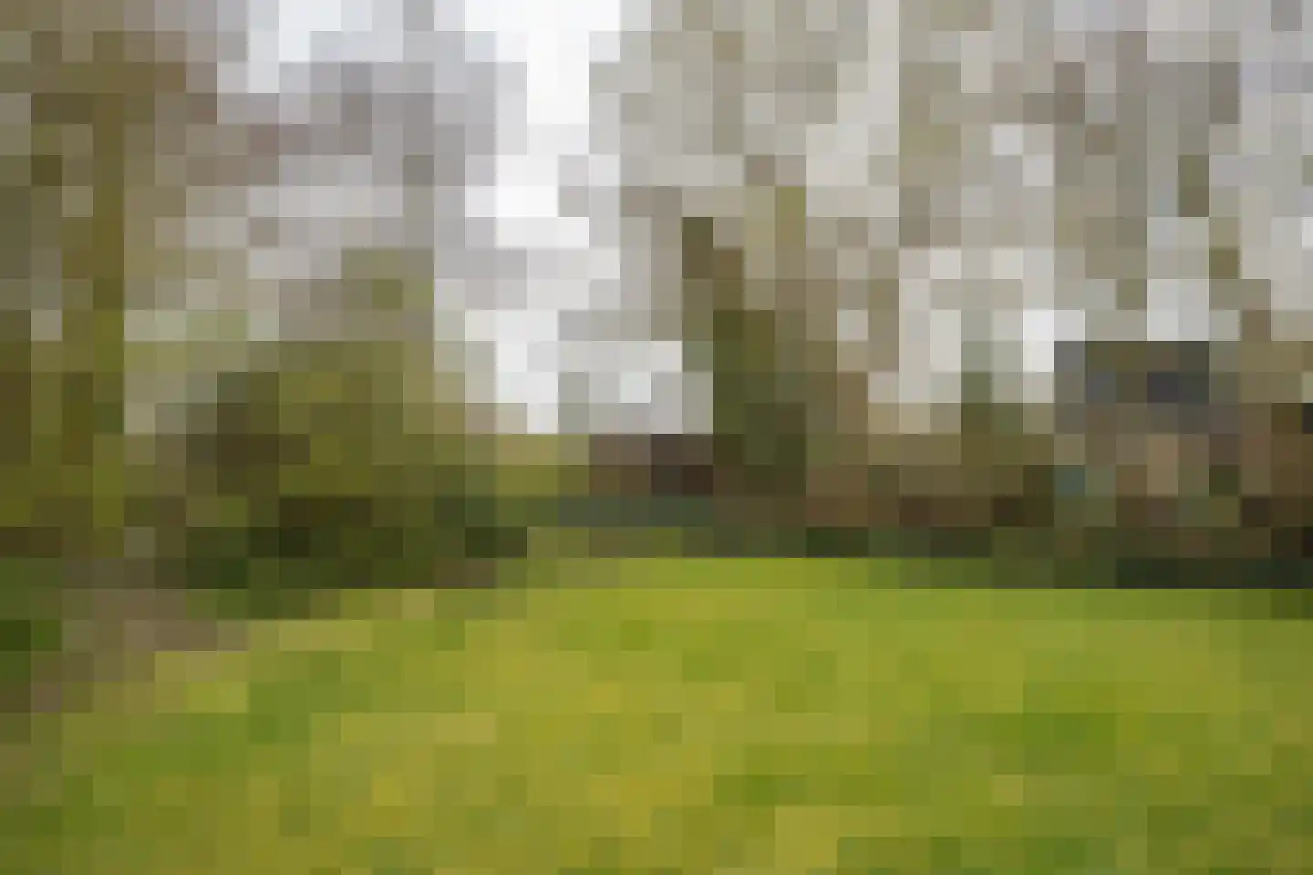 Roggeslootweg 393 De Cocksdorp thumbnail 51