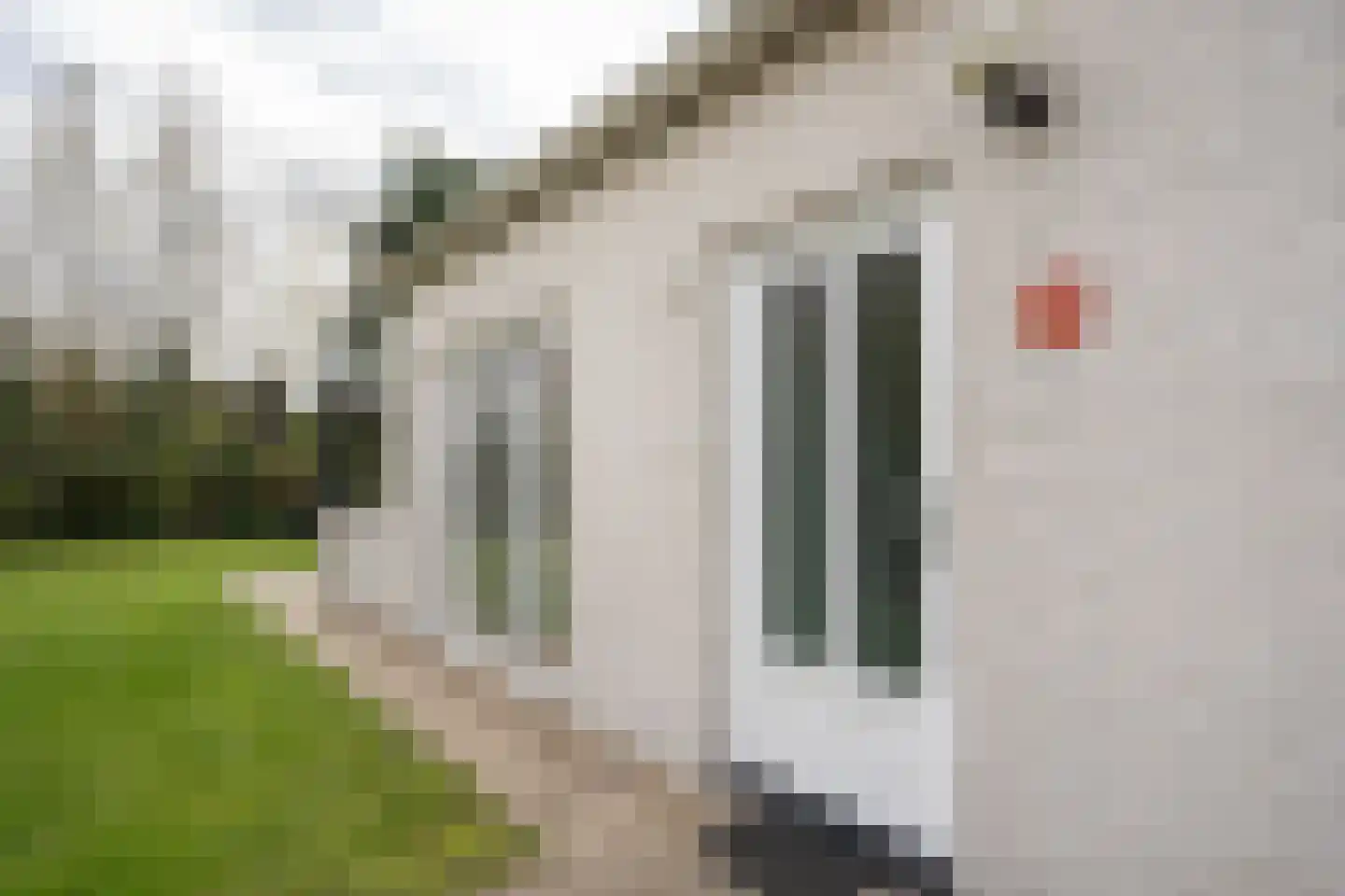 Roggeslootweg 393 De Cocksdorp thumbnail 53