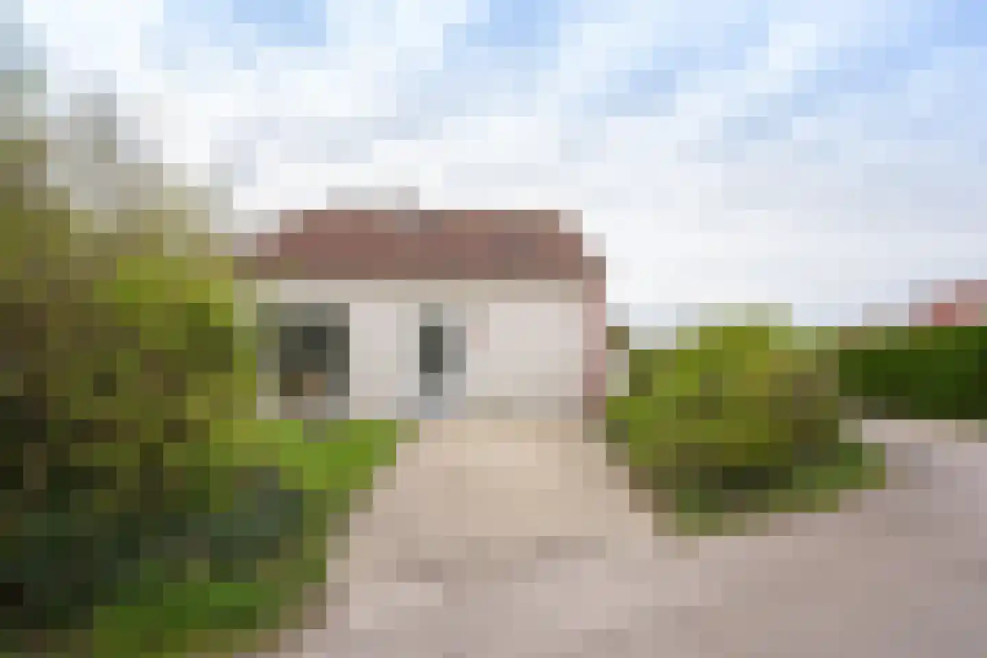 Roggeslootweg 393 De Cocksdorp thumbnail 55